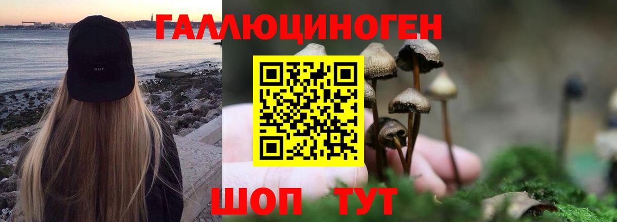 Галлюциногенные грибы MAGIC MUSHROOMS Бор